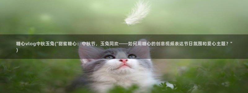 糖心美杜莎vlog在线