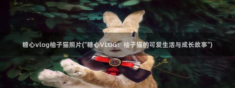 糖心vlog科普：糖心vlog柚子猫照片(\