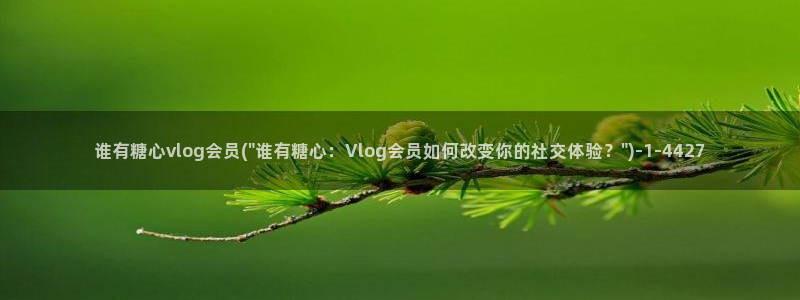 .com糖心vlog：谁有糖心vlog会员(\