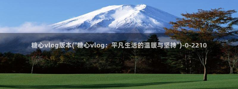 vlog糖心官网地址：糖心vlog版本(\