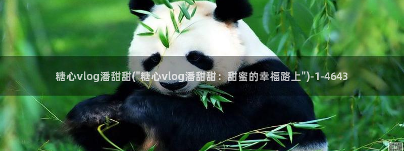 成人糖心vlog下载：糖心vlog潘甜甜(\