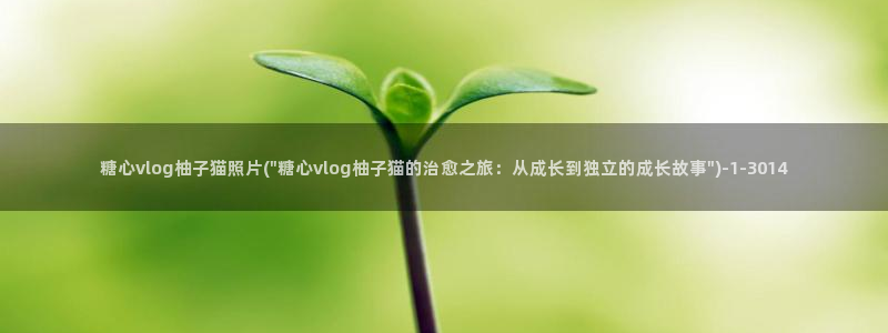 糖心vlog官方app：糖心vlog柚子猫照片(\