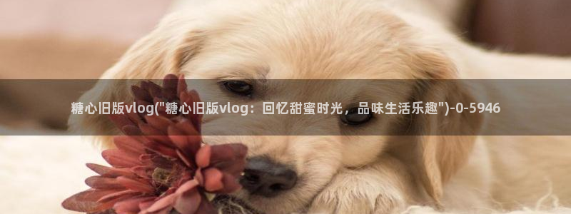 糖心vlog天美：糖心旧版vlog(\